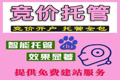 高效SEM账户托管案例分析